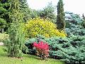 DSCF0724