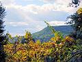 DSCF0726