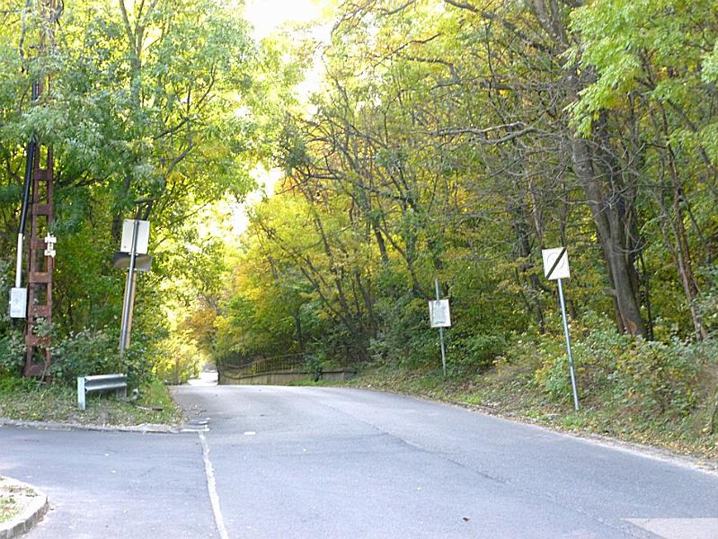 P1120885.JPG