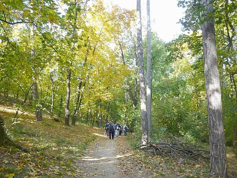P1120890.JPG