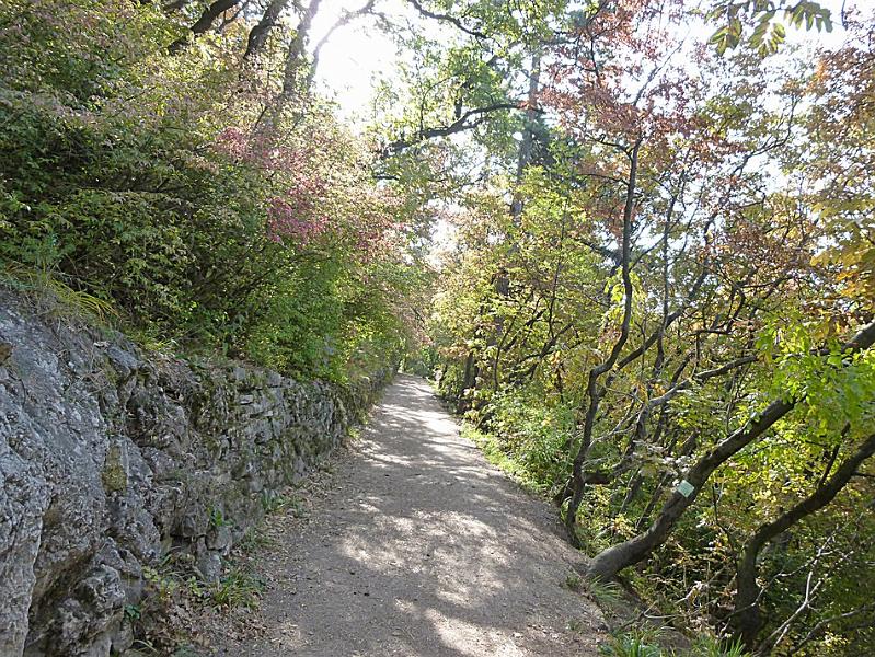 P1120896.JPG