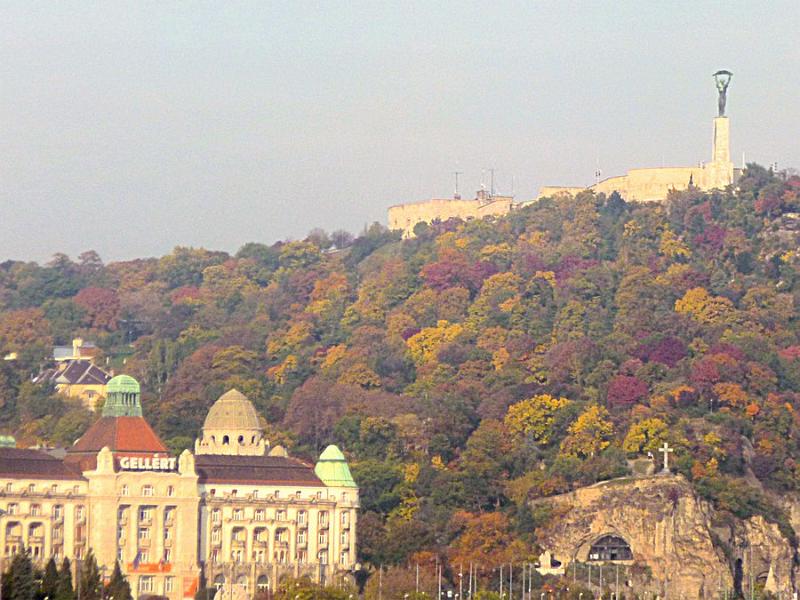 P1120903.JPG