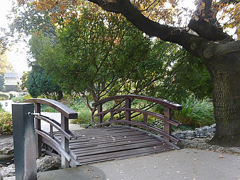 P1120947.JPG