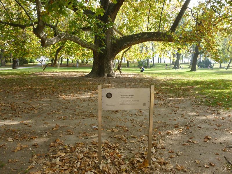 P1120955.JPG