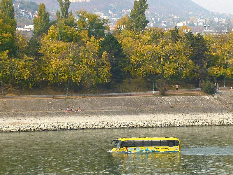 P1120981.JPG