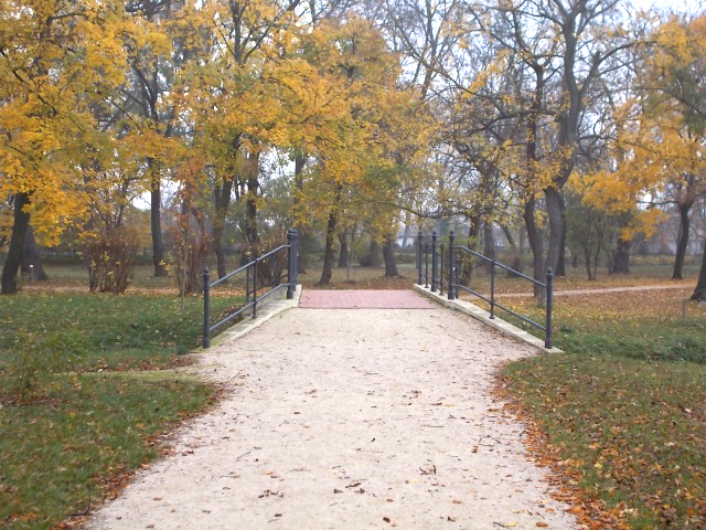 DSCN2810.jpg
