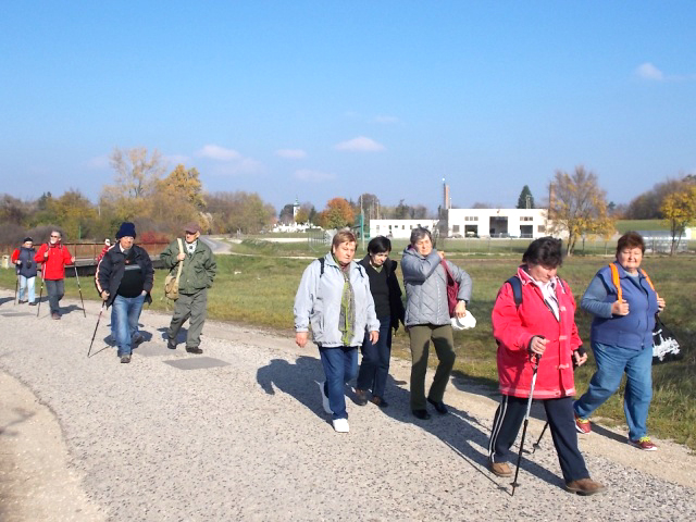 DSCN2856.jpg