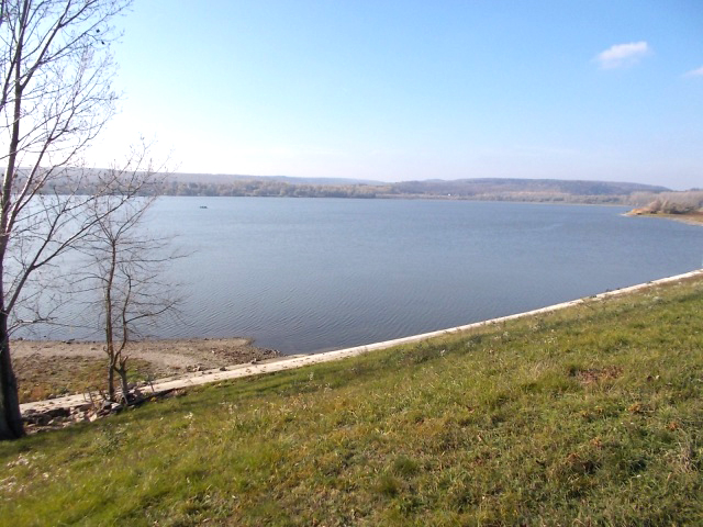 DSCN2858.jpg