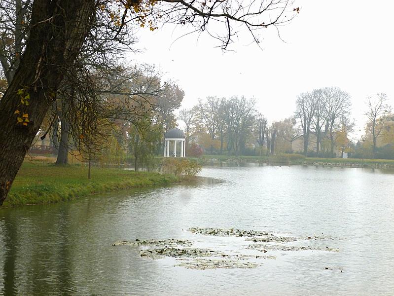 P1130095.JPG