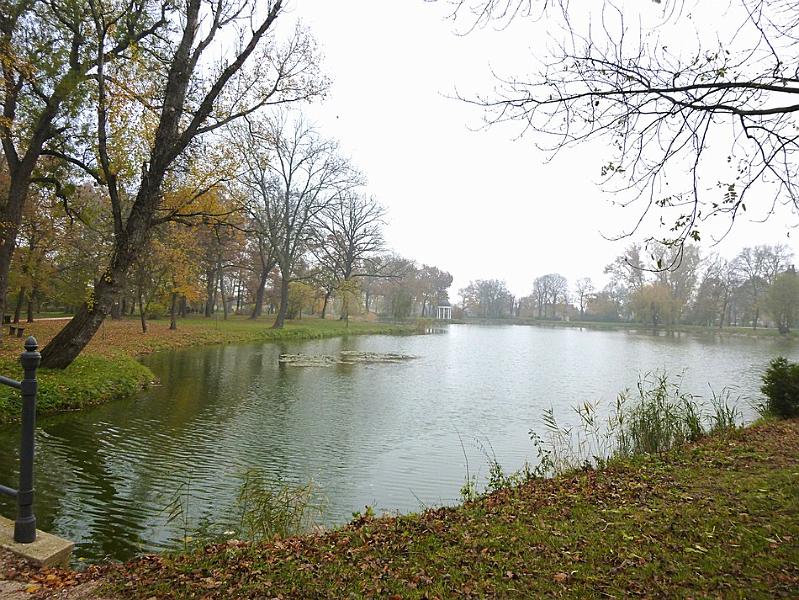 P1130096.JPG