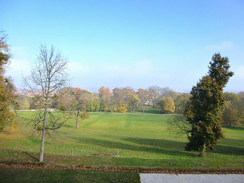 P1130115.JPG