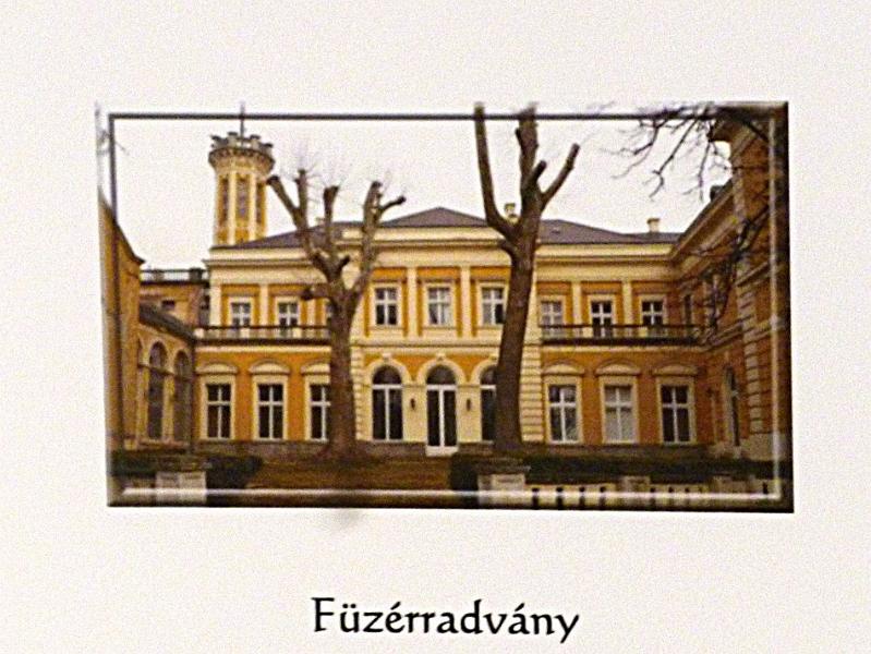 P1130126.JPG