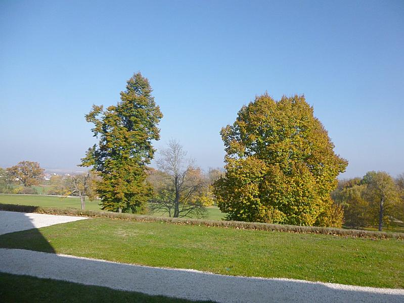 P1130131.JPG