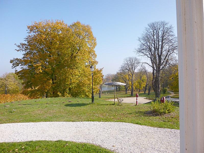 P1130134.JPG