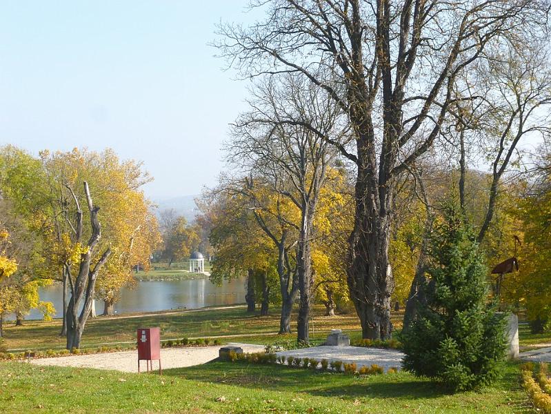 P1130138.JPG
