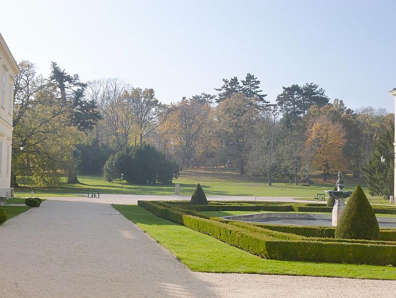P1130143.JPG