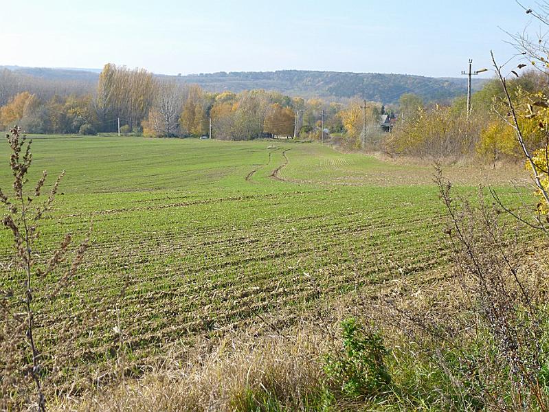 P1130151.JPG