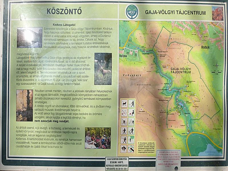 P1130155.JPG