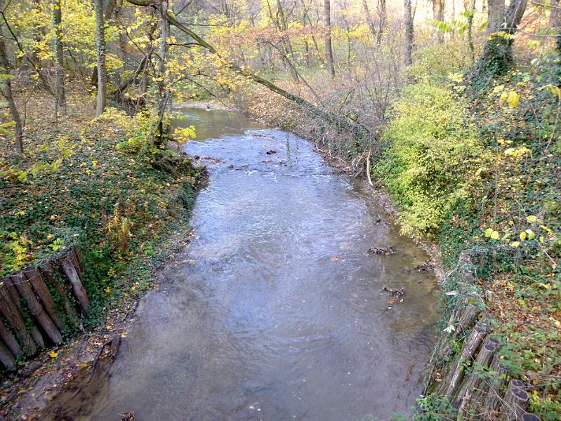 P1130156.JPG