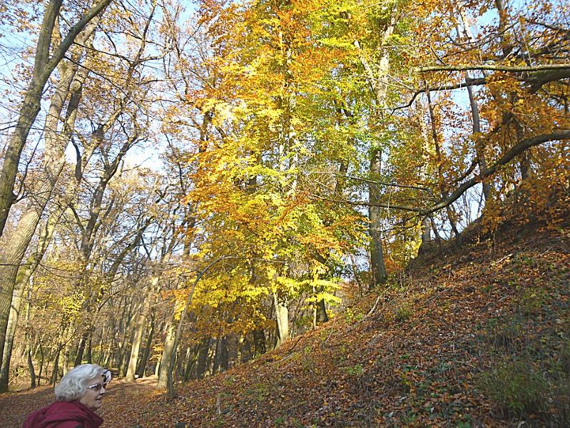 P1130164.JPG