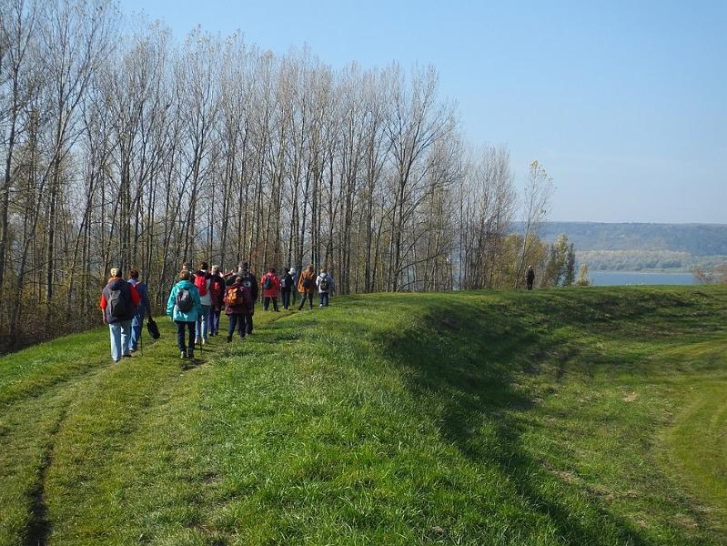 DSCF0747.JPG