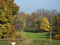 DSCF0745