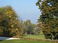 DSCF0746