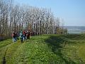 DSCF0747