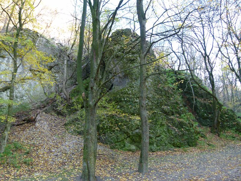 L1400237.JPG