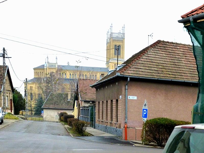 P1130190.JPG