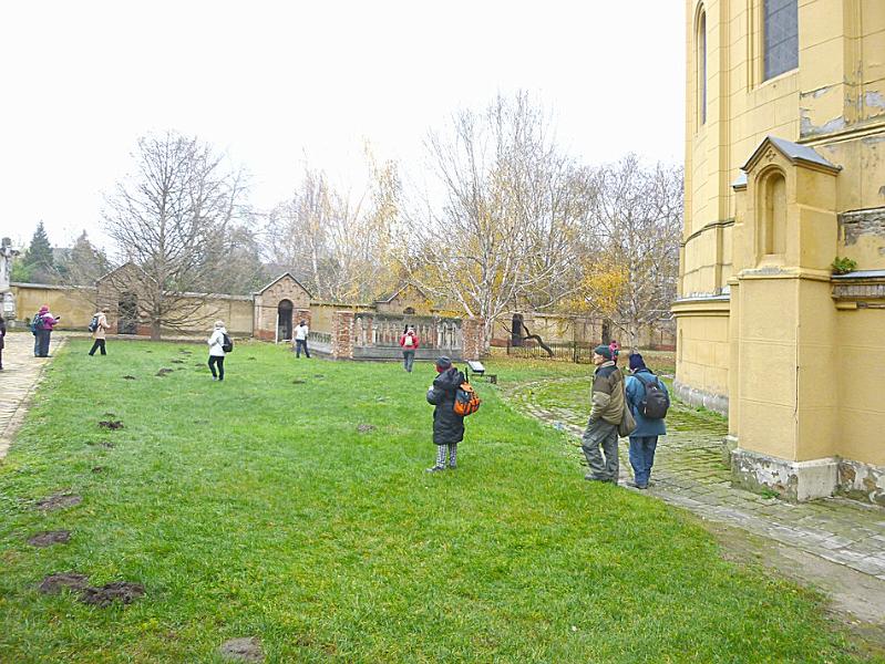 P1130215.JPG