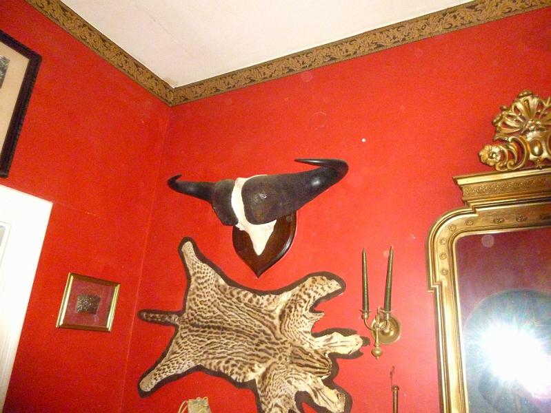P1130241.JPG