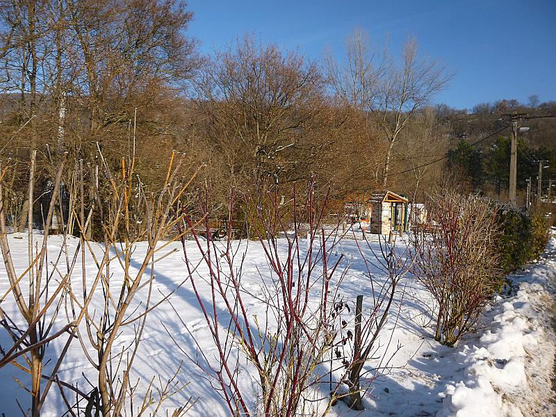 P1130265.JPG
