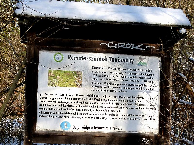 P1130270.JPG