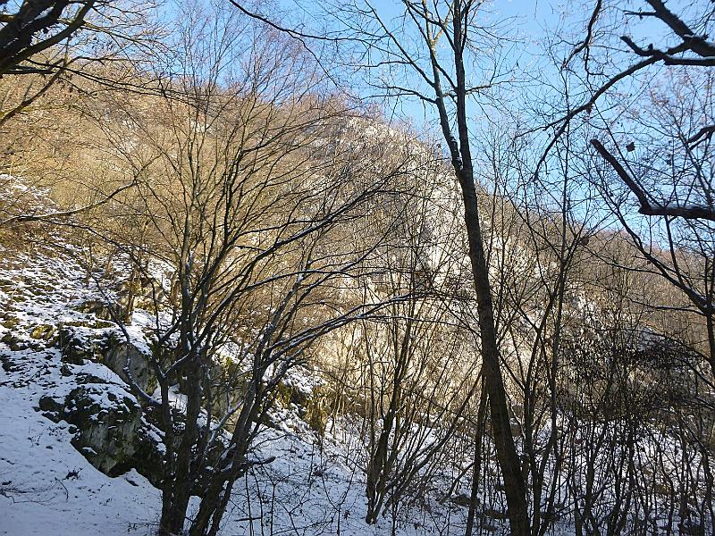 P1130272.JPG
