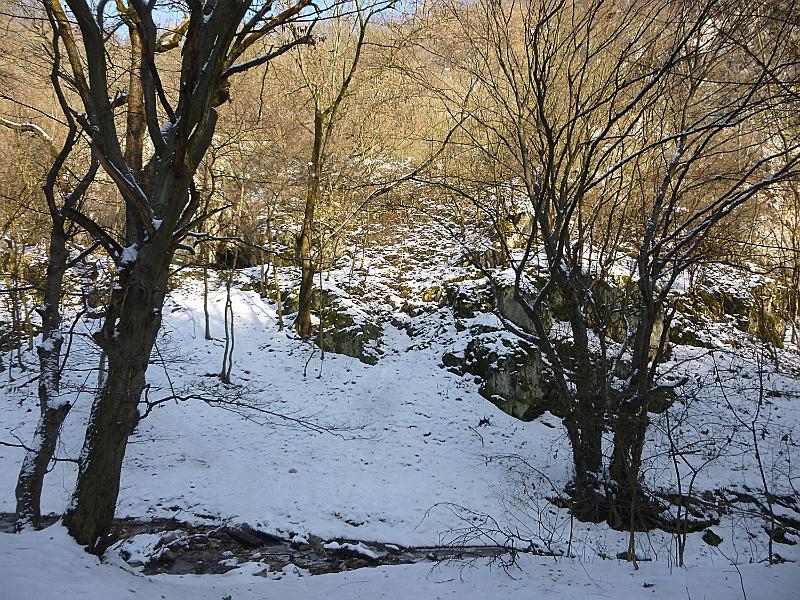 P1130273.JPG