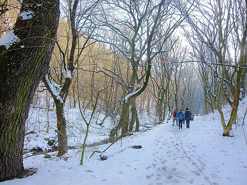 P1130274.JPG
