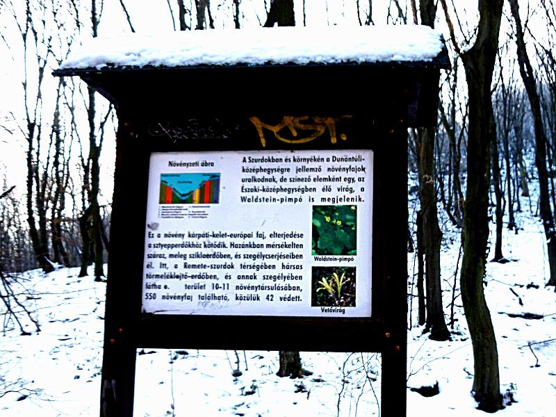 P1130276.JPG