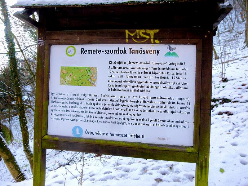 P1130277.JPG