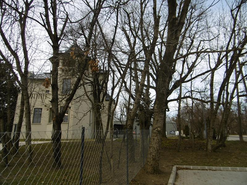 P3330901.JPG