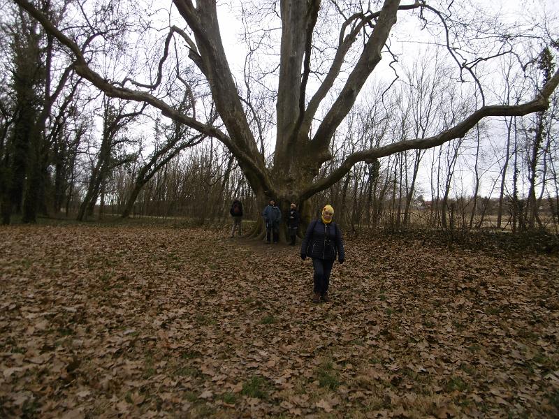 P3330974.JPG