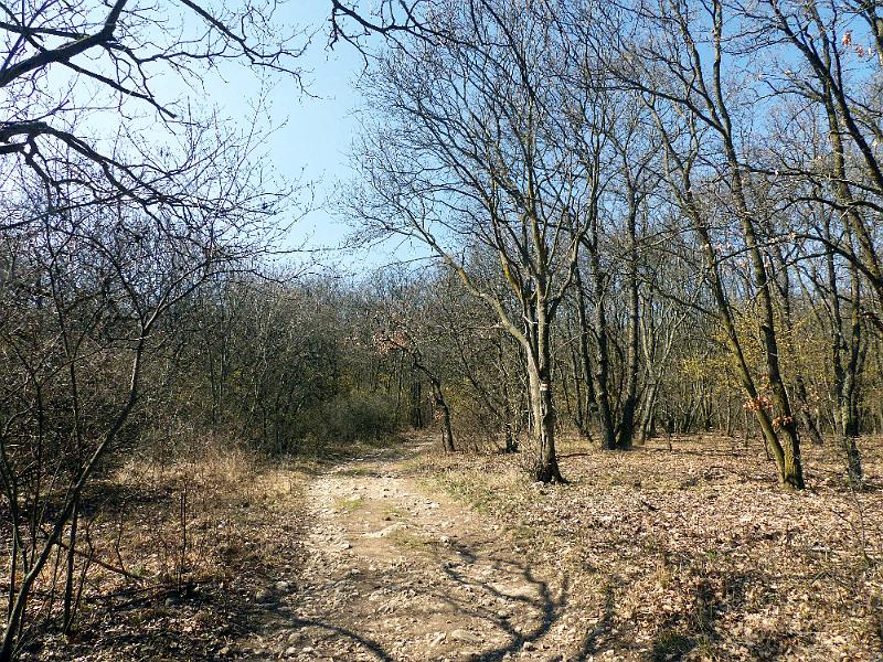 P1280356.jpg