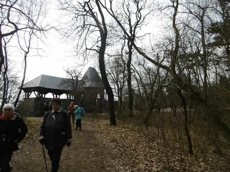 P3340084.JPG
