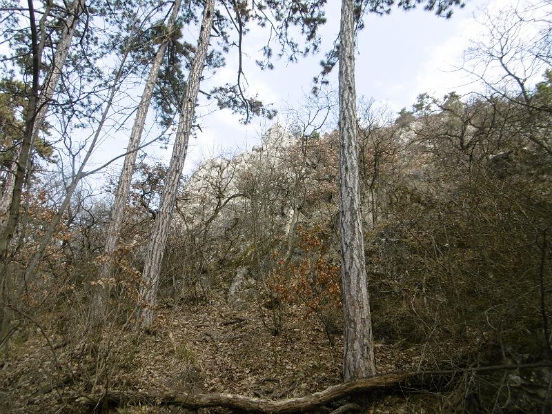 P3340086.JPG