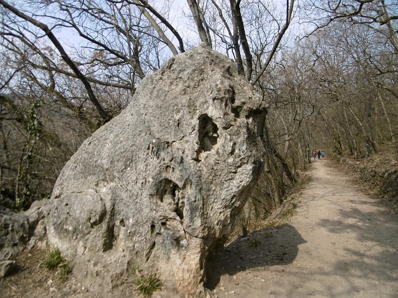 P3340087.JPG