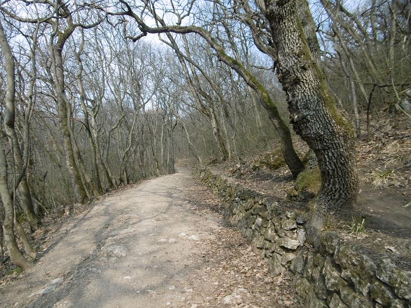 P3340089.JPG