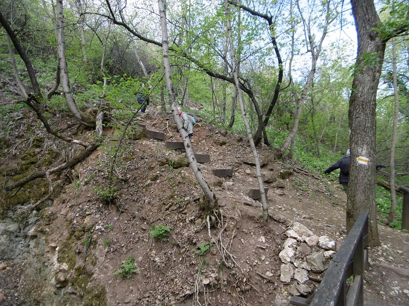 P3340192.JPG