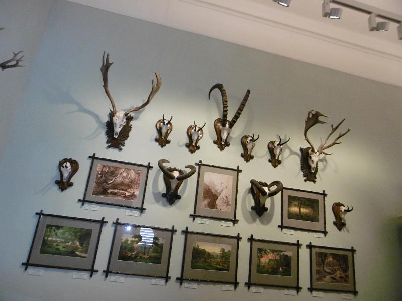 P3340254.JPG