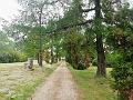 IMG_20220507_103209