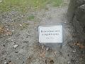 IMG_20220507_112420